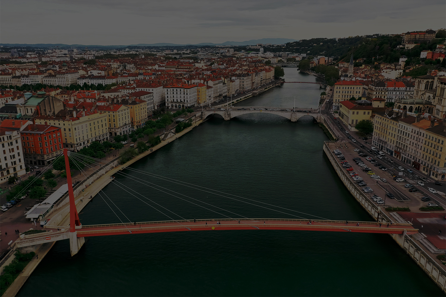 Only lyon